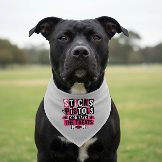 Sticks Pistols - God Save the Treats - Premium